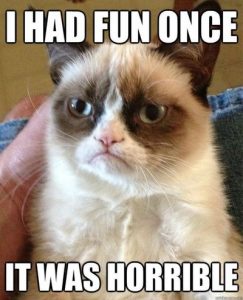 grumpy-cat-funny-meme-i-had-fun-once